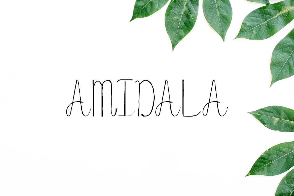 Amidala: A Handwritten Script That Brings Character and Vibrancy to Every Design