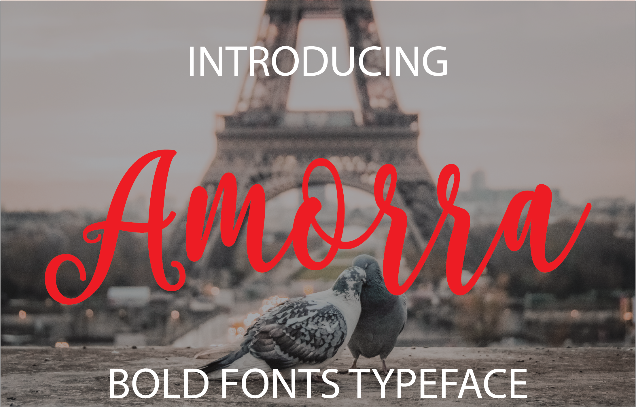 Amorra: A Relaxed Script for Creative Projects