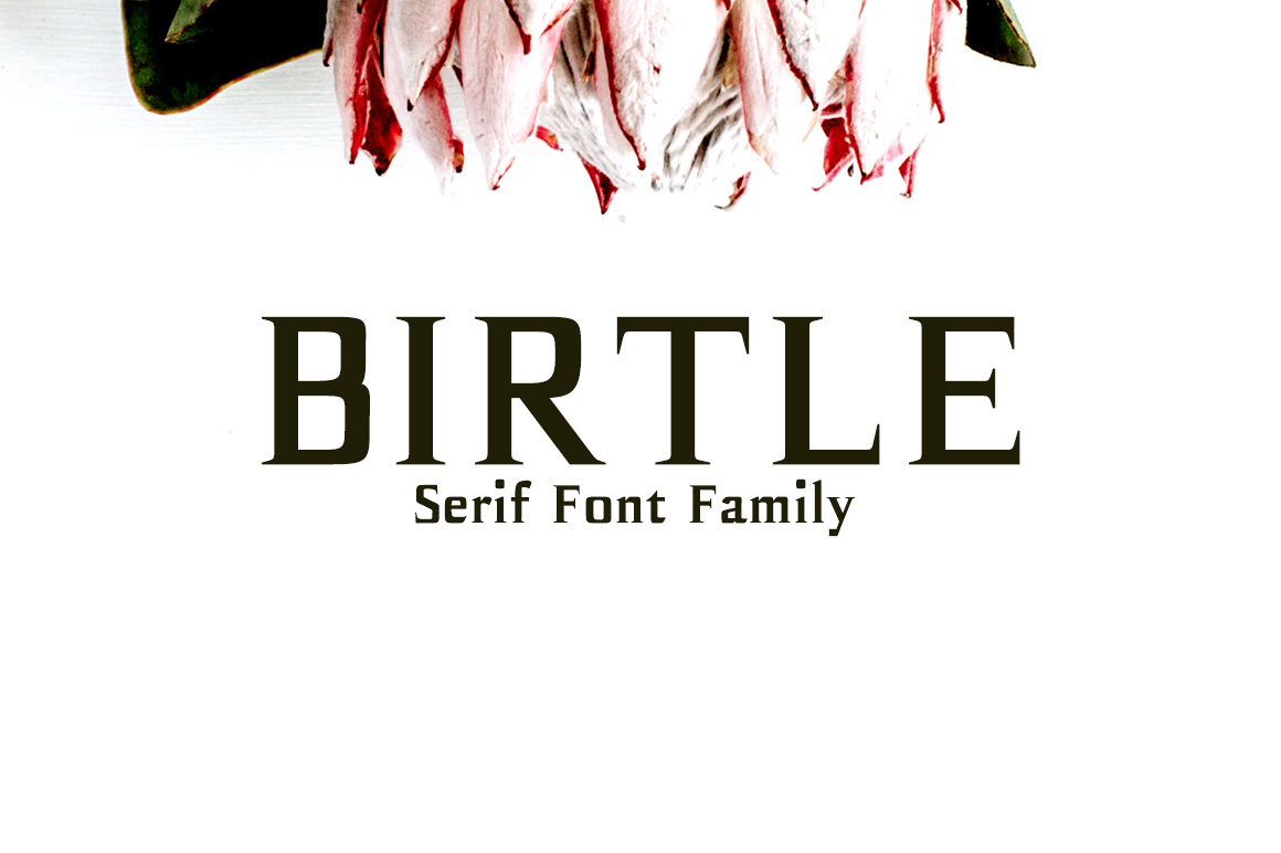 Birtle: A Square Serif Typeface for Contemporary Design Projects