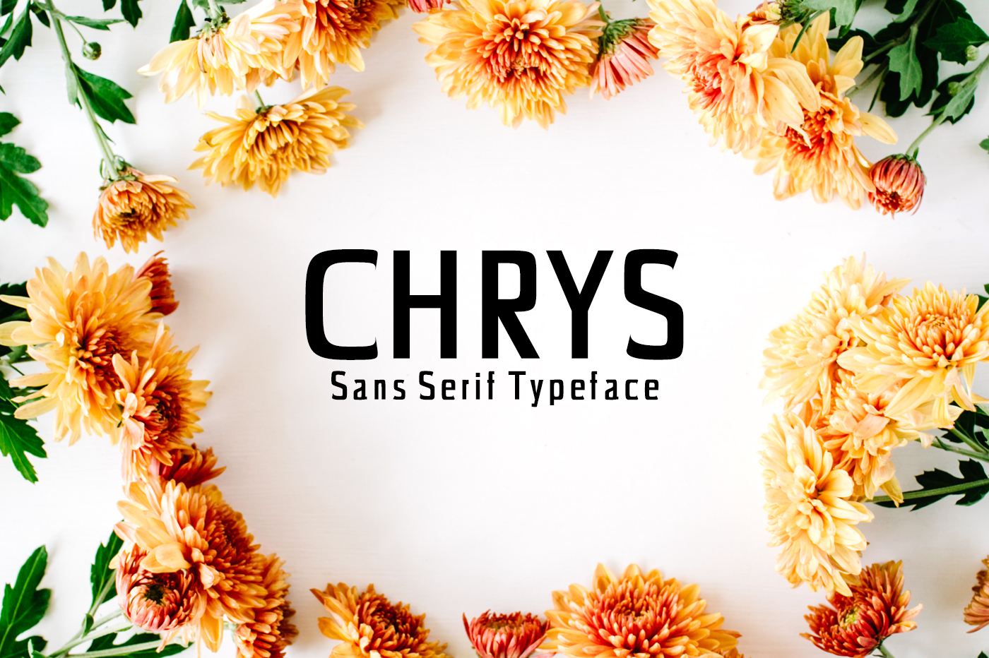 Chrys: A Bold Sans Serif with Timeless Display Appeal