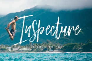 Inspecture: A Hand Brushed Font with Rough Character