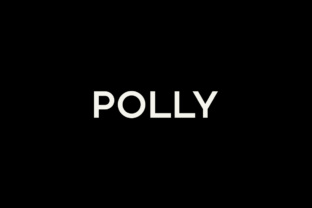 Polly: A Minimal Sans Serif Font Built for Clarity and Consistency