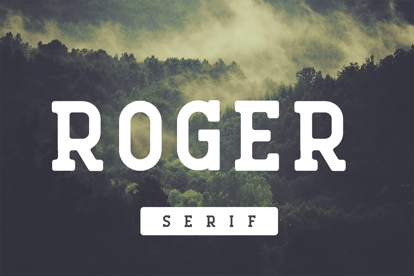Roger Serif: A Balanced Look at a Vintage-Inspired Slab Serif