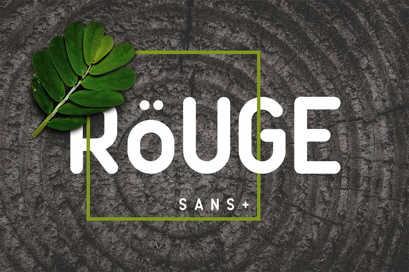 Rouge Sans: Where Vintage Geometry Meets Modern Readability